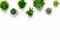 Various decorative succulent plants in pots on white background