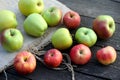 Various delicious organic apples