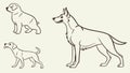 Various Dog Breeds Pet Animals Canine Illustration, vector design Generative AI Royalty Free Stock Photo