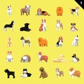 Various Dog Breeds Vector Illustration Set 1