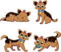 Yorkshire terrier positions
