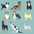 Various dogs Royalty Free Stock Photo