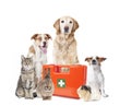 Various pets medical case Royalty Free Stock Photo