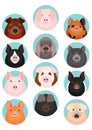 Various domestic pigs face set