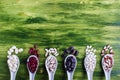 Various dried legumes in wooden spoons on green background Royalty Free Stock Photo