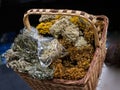 Various dried medical herbs and flowers, and herbal tea Royalty Free Stock Photo