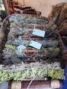 Various dried medicinal herbs in bunches on the shop window Royalty Free Stock Photo