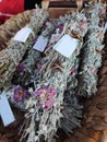 Various dried medicinal herbs in bunches on the shop window Royalty Free Stock Photo