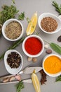 Various dried and spices and fresh seasonings on a gray table. Royalty Free Stock Photo