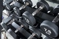 Various dumbbells with knurled handlebars and labeled weights on a tiered dumbbell rack at the gym. Weight training equipment Royalty Free Stock Photo