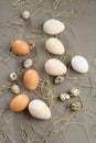 Various eggs