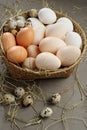 Various eggs