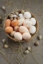 Various eggs