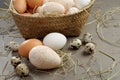 Various eggs