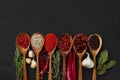 Various exotic spices in wooden spoons on dark background