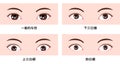 Various eye shapes different eyeball size and position vector illustration Classifications in Asia