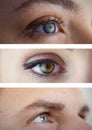 Various eyes in series of three Royalty Free Stock Photo