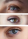 Various eyes in series of three Royalty Free Stock Photo