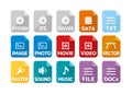 Various file types vector icon illustration set