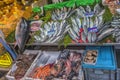 Various fish on the counter fish shop in Istanbul. Royalty Free Stock Photo