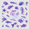 Vector set of ocean patches, stickers, embroidery and sticky lab