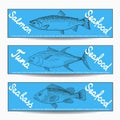 Various fishes banners