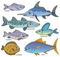 Various fishes theme set 1 Royalty Free Stock Photo