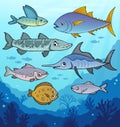 Various fishes underwater theme image 1