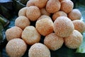 Various flavored of `kue cucur gula merah` or `pinjaram`