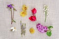 Various flowers on fabric