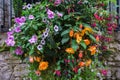 Various flowers in hanging baskets on stone wall Royalty Free Stock Photo