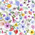 Various flowers seamless watercolor pattern isolated on white. Translucent different flowers composition. Botanical fantasy Royalty Free Stock Photo