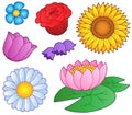 Various flowers set