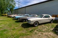 Various Ford Mustang first generation stand in a row Royalty Free Stock Photo