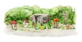 Various forest mushroom groups growing on the ground with tree stump. Natural forest image. Watercolor painted