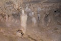 Various formations within Wind Cave chambers at Mulu National Pa