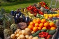 Various fresh biological vegetables and fruits