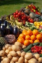 Various fresh biological vegetables and fruits