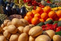 Various fresh biological vegetables and fruits