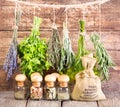 Various fresh and dried herbs