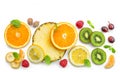 Various fresh fruit slices Royalty Free Stock Photo