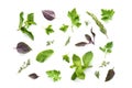 Various fresh herbs collection isolated on white background Royalty Free Stock Photo