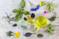 Various fresh herbs and essential oil in the midlle of . fresh medicinal plants . Preparing medicinal plants for Royalty Free Stock Photo