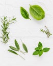 Various fresh herbs from the garden peppermint , sweet basil ,rosemary,oregano, sage and lemon thyme on white wooden background w Royalty Free Stock Photo