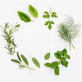 Various fresh herbs from the garden peppermint , sweet basil ,rosemary,oregano, sage and lemon thyme on white wooden background w Royalty Free Stock Photo