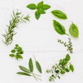 Various fresh herbs from the garden peppermint , sweet basil ,rosemary,oregano, sage and lemon thyme on white wooden background w Royalty Free Stock Photo