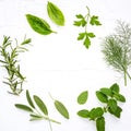 Various fresh herbs from the garden peppermint , sweet basil ,rosemary,oregano, sage and lemon thyme on white wooden background w Royalty Free Stock Photo