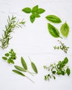 Various fresh herbs from the garden peppermint , sweet basil ,rosemary,oregano, sage and lemon thyme on white wooden background w Royalty Free Stock Photo