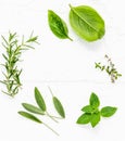 Various fresh herbs from the garden peppermint , sweet basil ,rosemary,oregano, sage and lemon thyme on white wooden background w Royalty Free Stock Photo