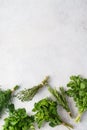 Various fresh herbs on gray background with copy space Royalty Free Stock Photo